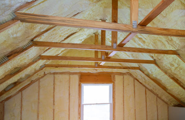 Best Specialty Insulation in Dunnellon, FL